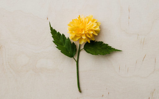 常勤のリハビリ職員が入職しました。