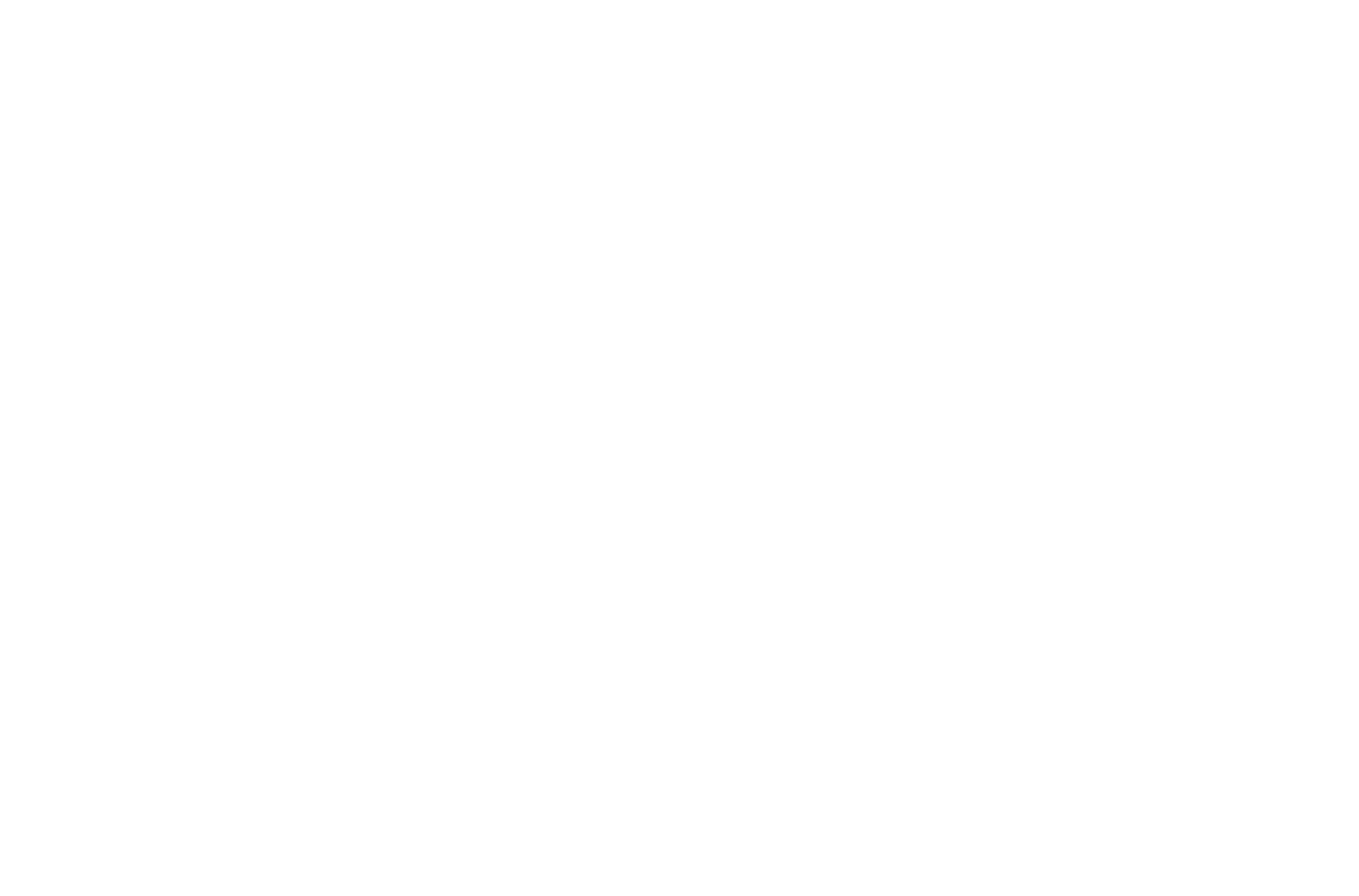 Image module